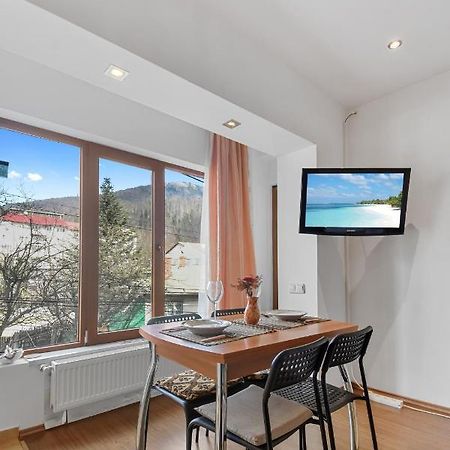 Cozy Montain Studio Sinaia Exterior photo