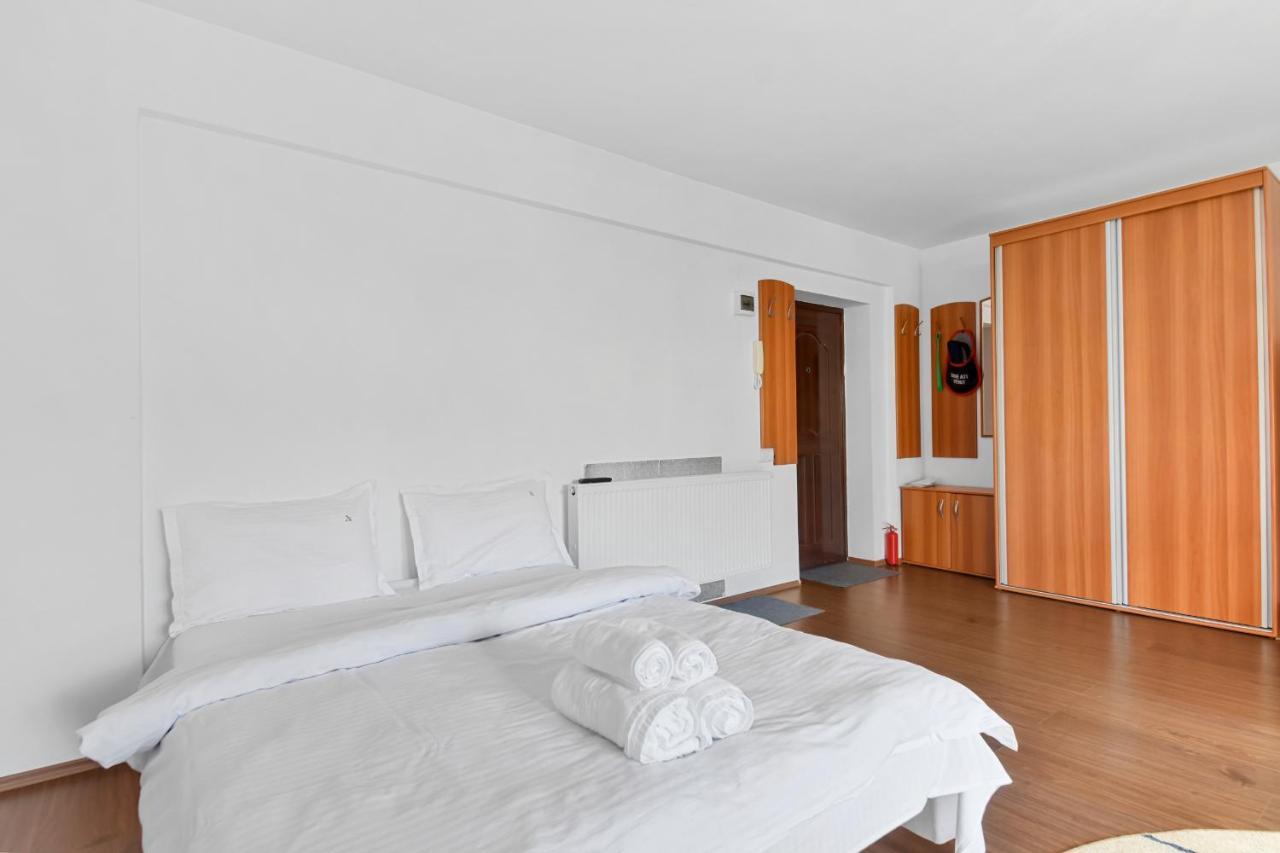 Cozy Montain Studio Sinaia Exterior photo
